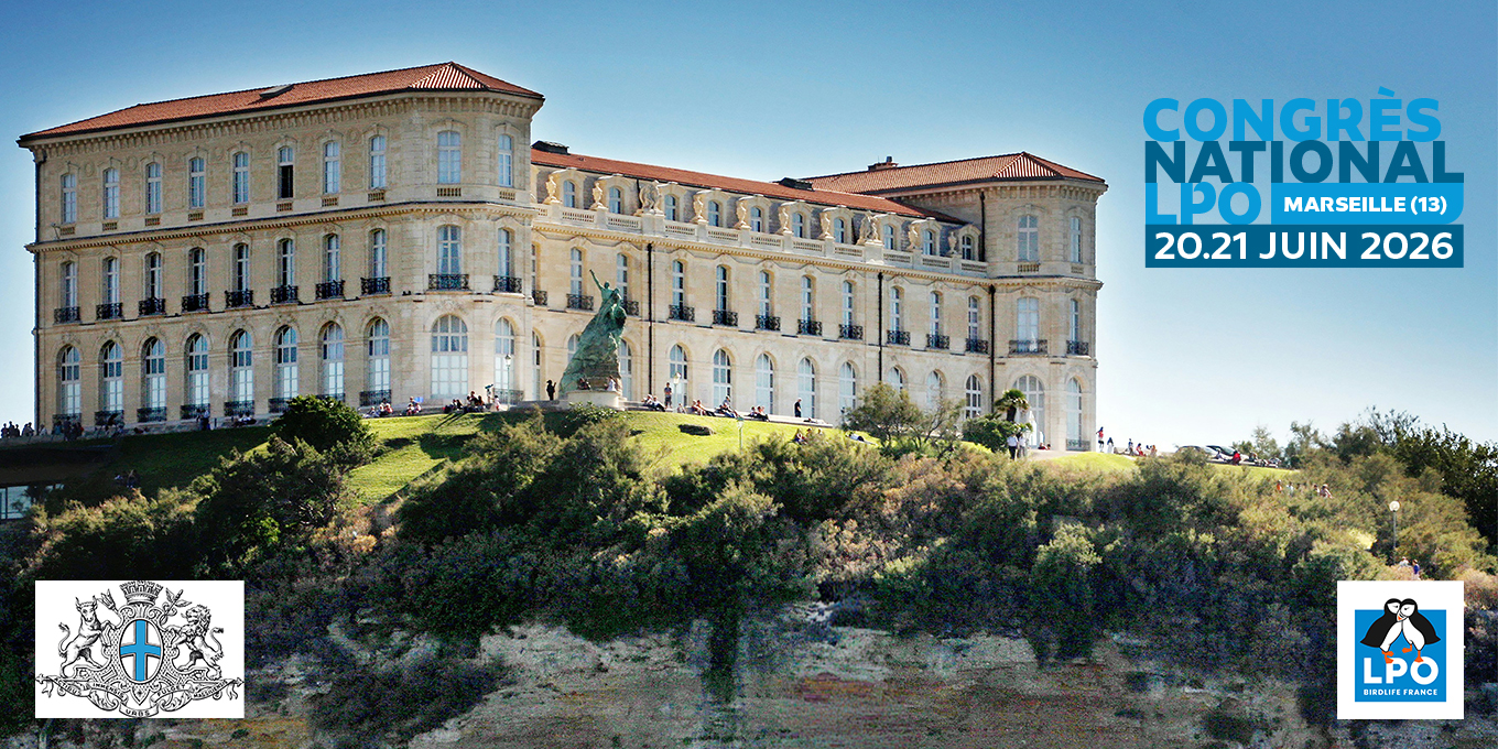 Palais du Pharo de Marseille